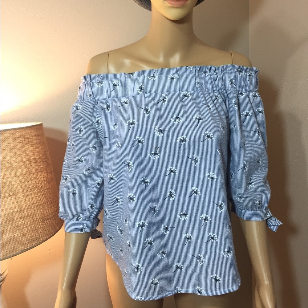 Love Notes Blue Striped Dandelion Blouse Too